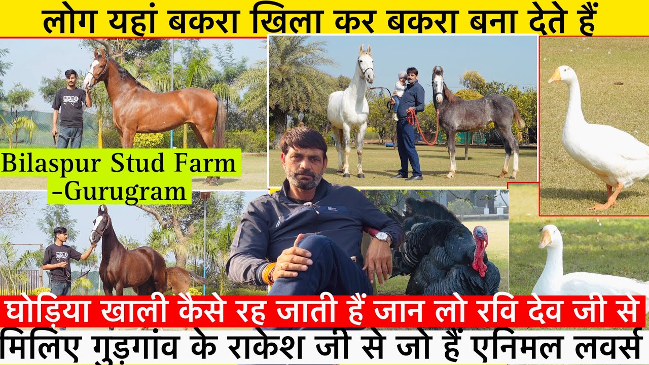 मिलिए गुरुग्राम के राकेश जी से और क्यों कहा लोग बकरा खिला कर नए आदमी का बकरा काट देते हैं !