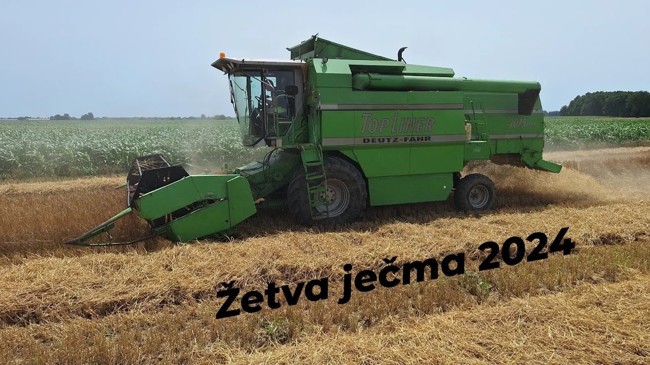 Žetva ječma 2024 (Deutz Fahr Topliner 4075 HTS)