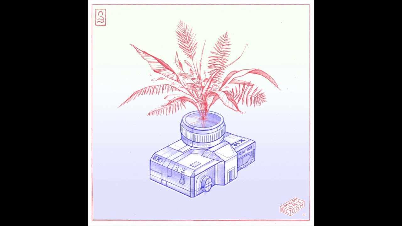 goosetaf & Timothy Infinite - Bumblebee