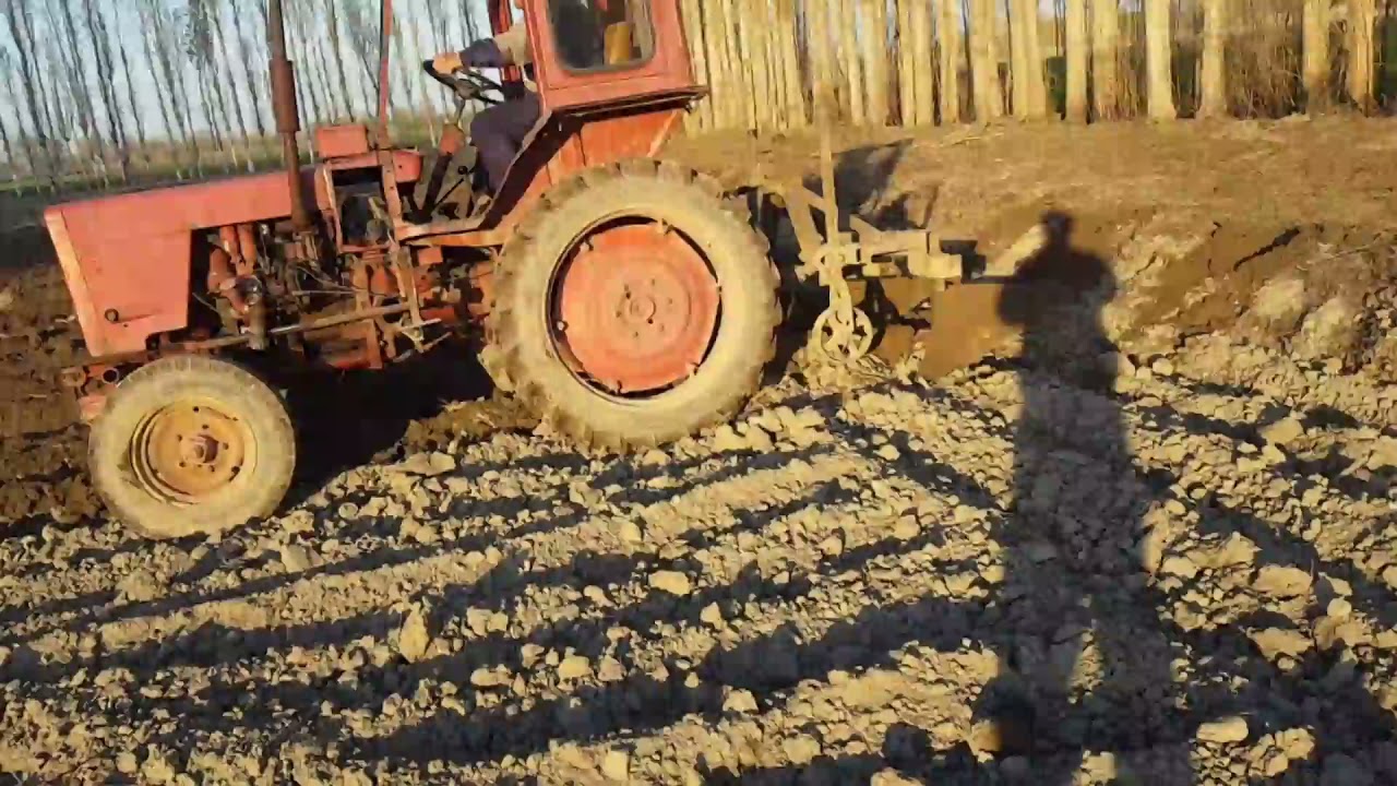 T25 traktor sotiladi.tel:+998994722669.BOZOR INFO