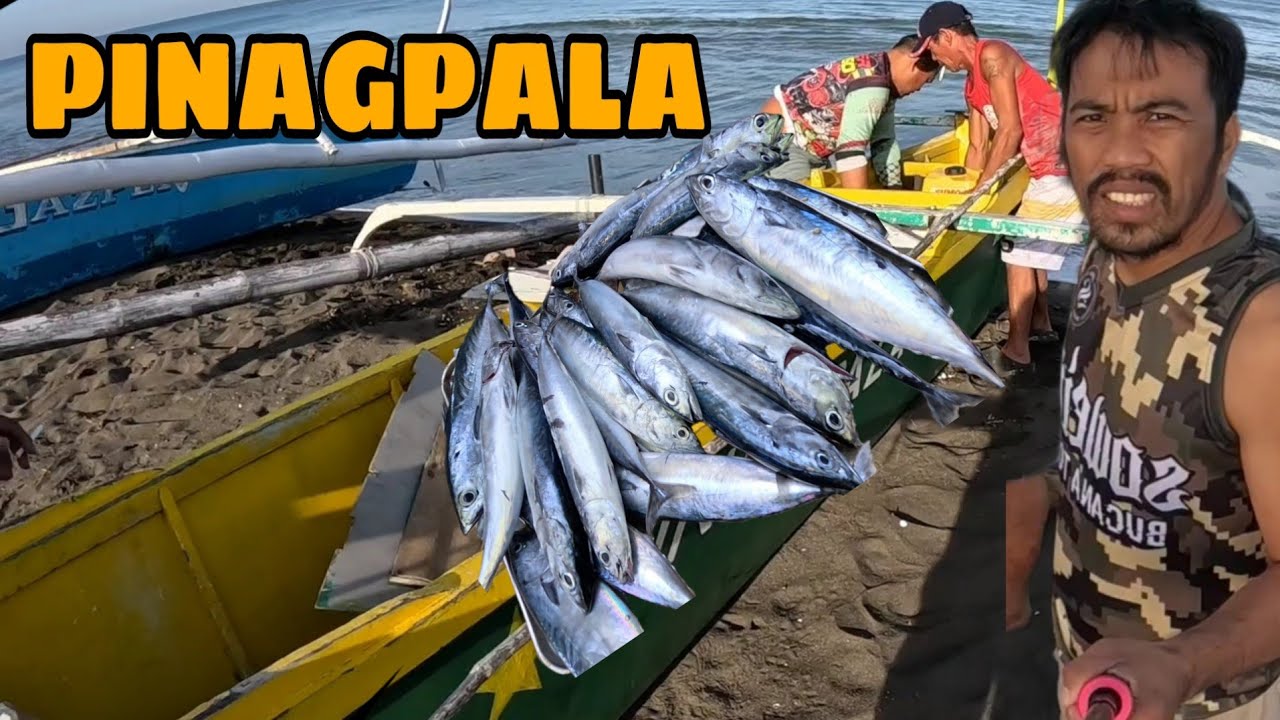 ANG PAGBABALIK NG PINAGPALA SA DAGAT