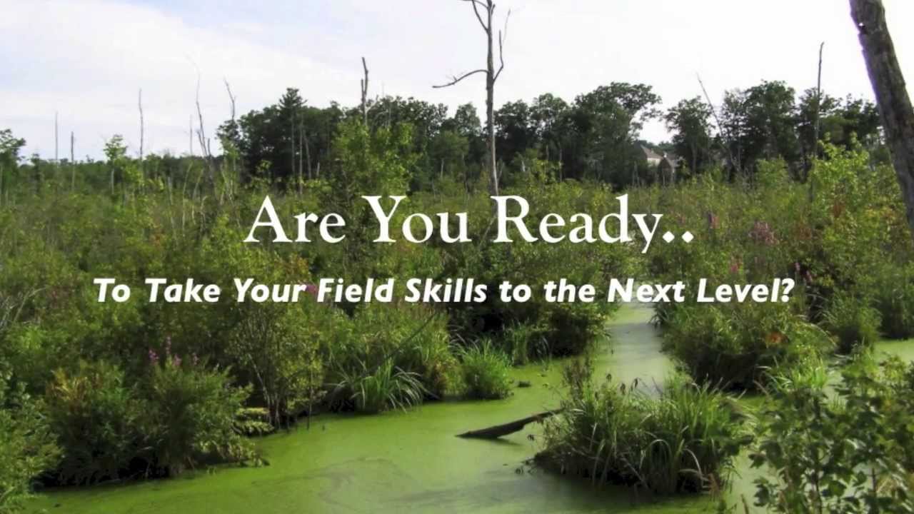 Amphibian & Reptile Sampling Methods Field Course