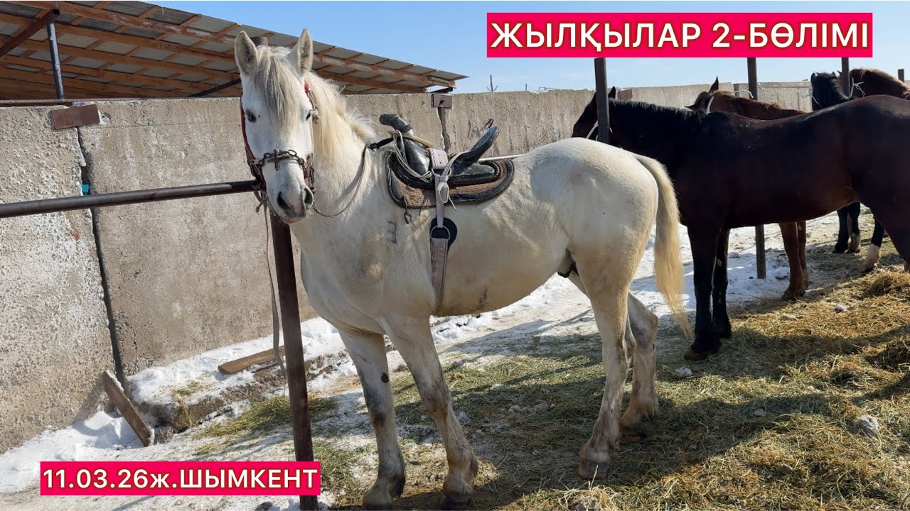 Жылқы 2-Бөлім