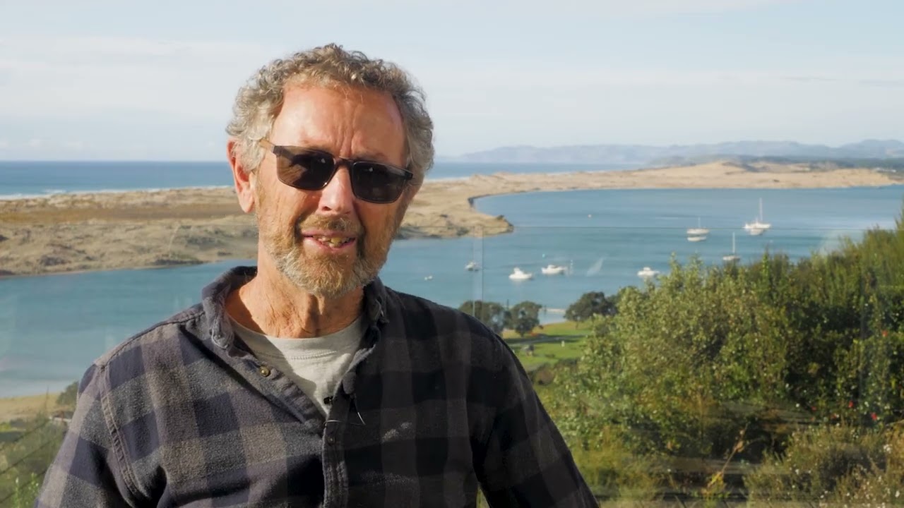 MANGAWHAI AND THE MANGROVES DOCUMENTARY (SHORT VERSION)