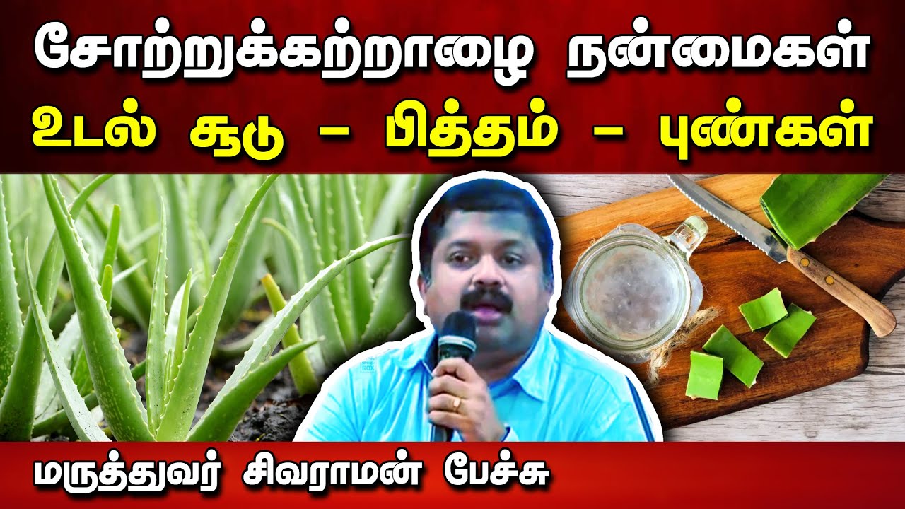 சோற்றுக்கற்றாழை பயன்பாடுகள் Dr. Sivaraman speech in Tamil | Aloe Vera Usages in Tamil | Tamil speech