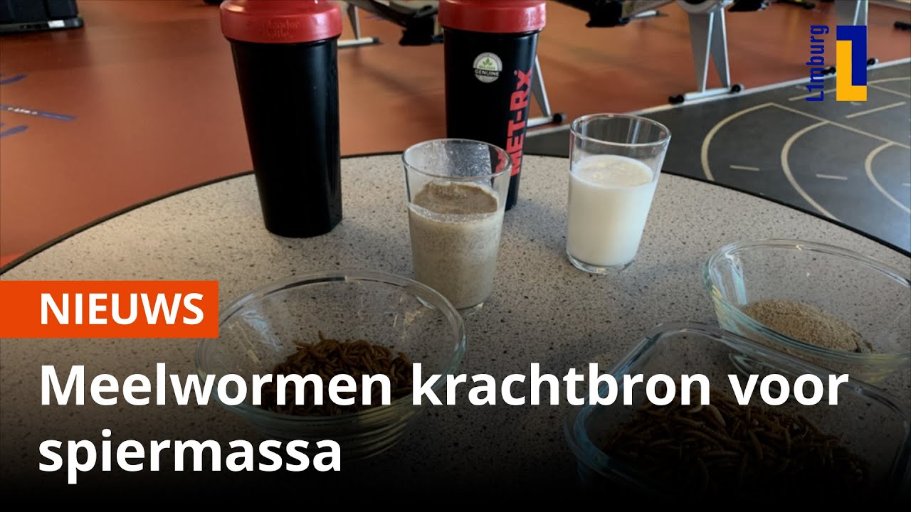 Meelwormen leveren prima krachtbron voor kweken spiermassa