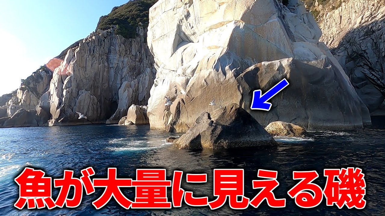 高知県、沖ノ島の磯際が面白過ぎる！