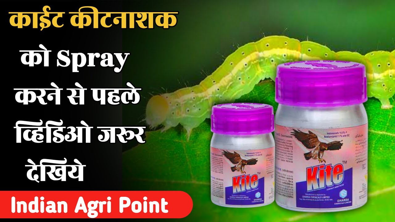 kite Insecticide | Gharada | Indoxicarb 14.5 % + Acetamiprid 7.7 % SC | काईट कीटनाशक #kite #IAP