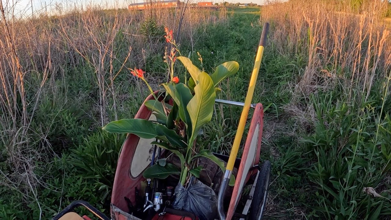 Slow Farm Collecting While Fishing
