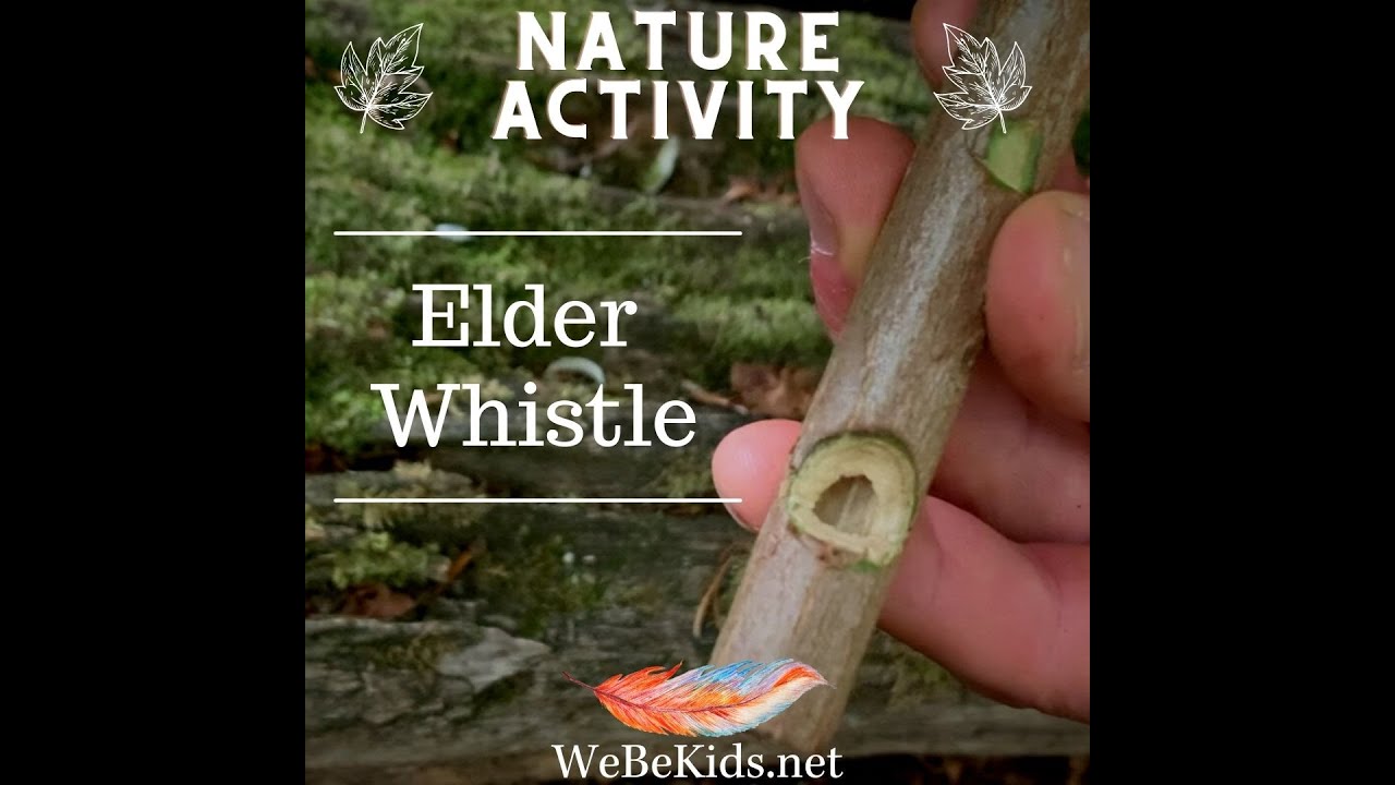 Make an Elder Whistle