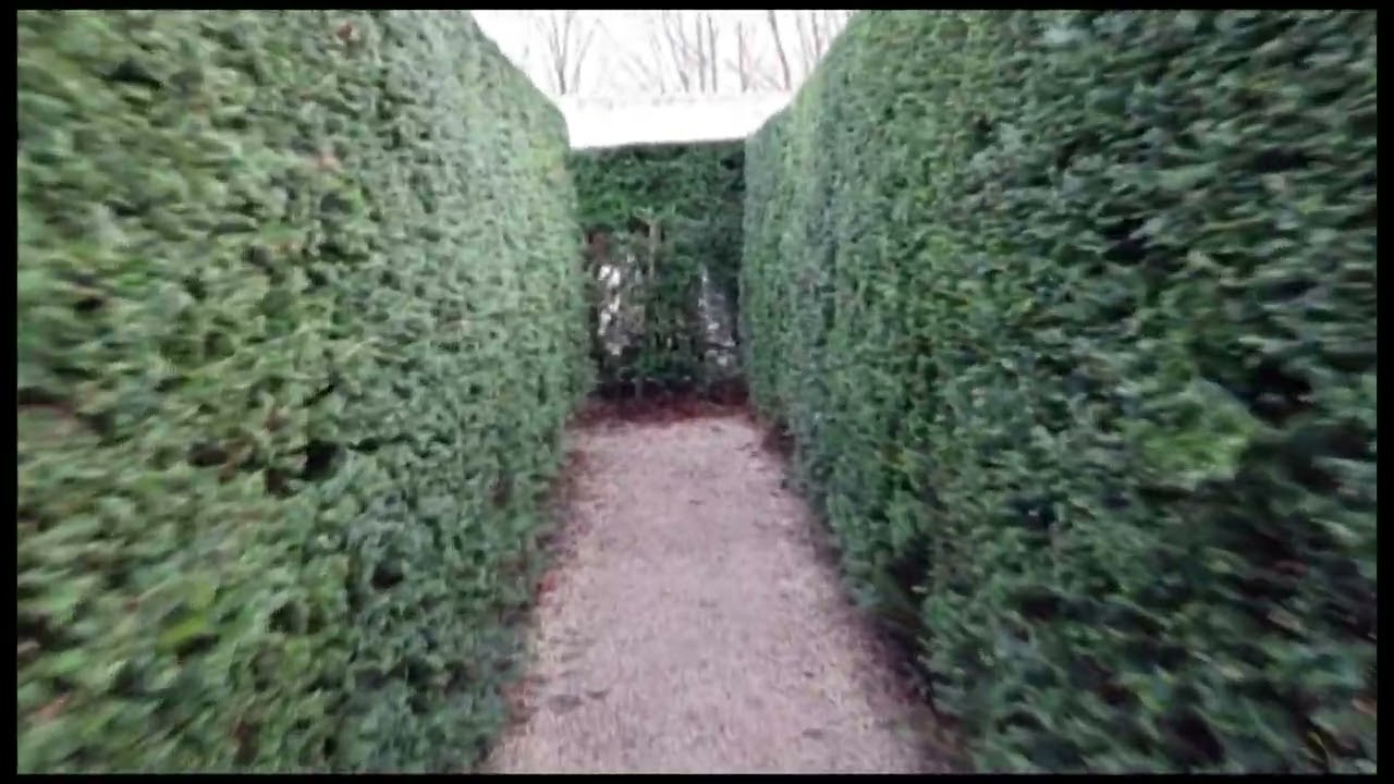Green Maze Amstelpark Amsterdam, The Netherlands