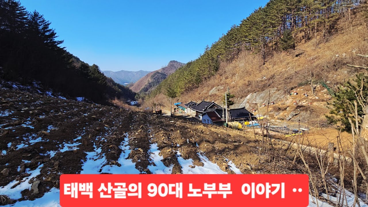 태백 산꼴짝 땅굴에 감자저장 하시는 91세 어르신댁 겨울 이야기 ᆢ