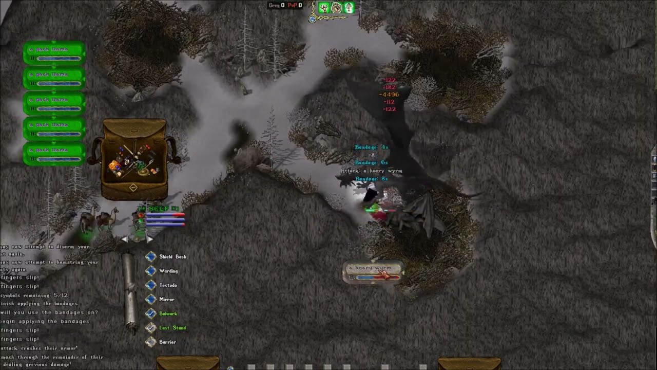 New Level Winterlands | Chivalry Macer | Ultima Online 2022 | UO Outlands