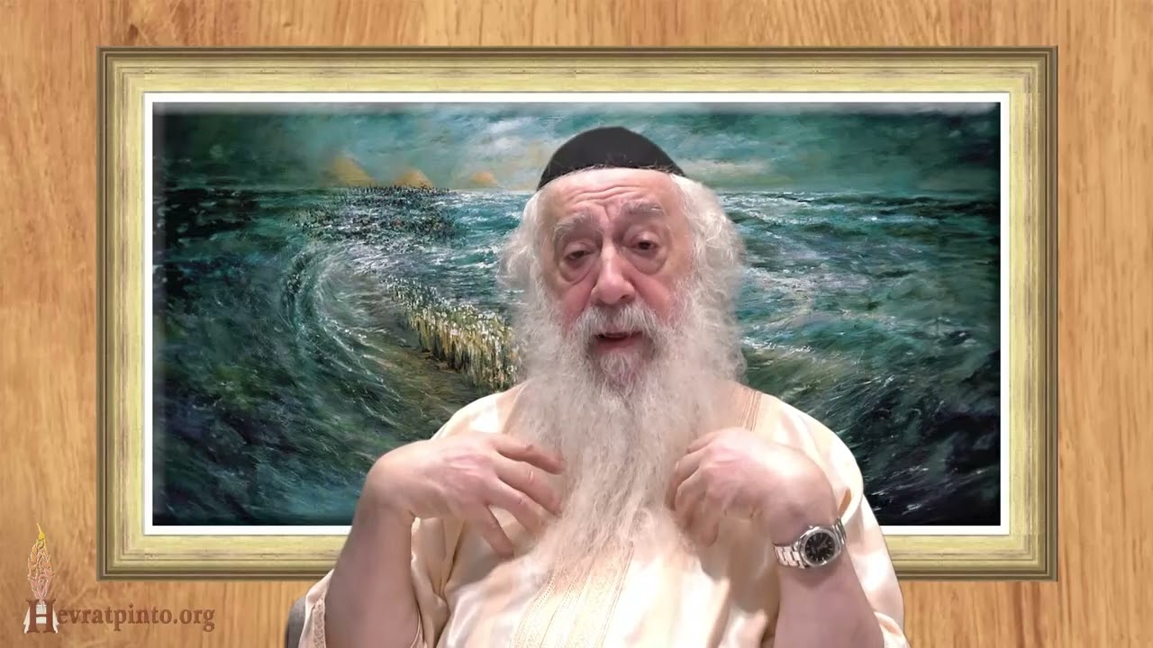 Jared Kushner at Rabbi Chaim Pinto's Tomb