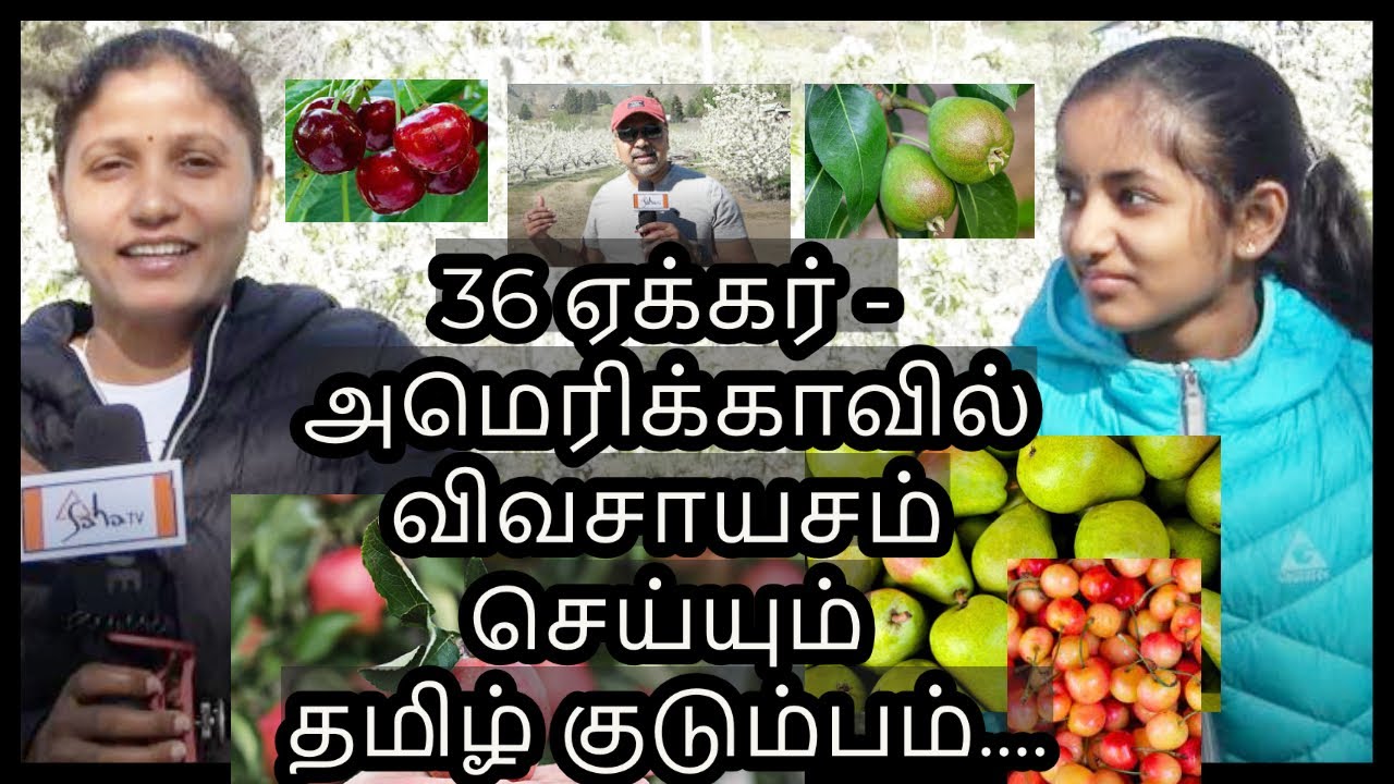 அமெரிக்காவில் விவசாயம் செய்யும் தமிழ் குடும்பம்|| 36 ஏக்கர் பண்ணை நிலம் |Tamil Farm house in America