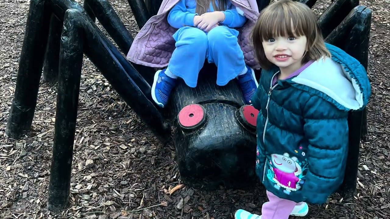 Moors Valley Fun 