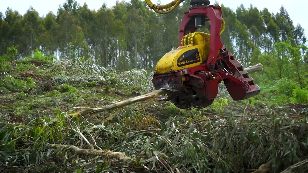 🛠️ Procesadora 800 P de Monra Forestal | Trabajo en campo real en 4K Ultra HD