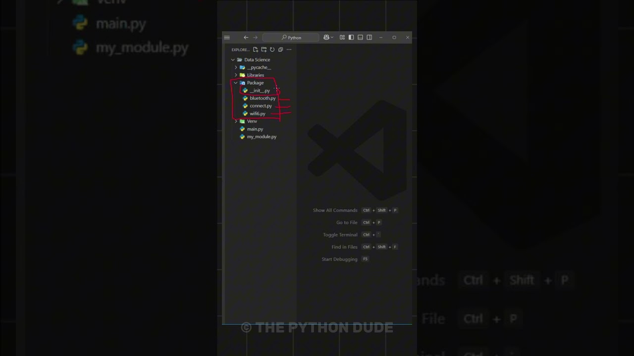 Python Module vs Package vs Libraries #pythonprogramming