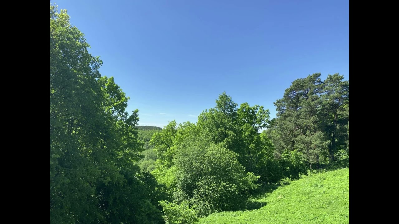Green Embrace