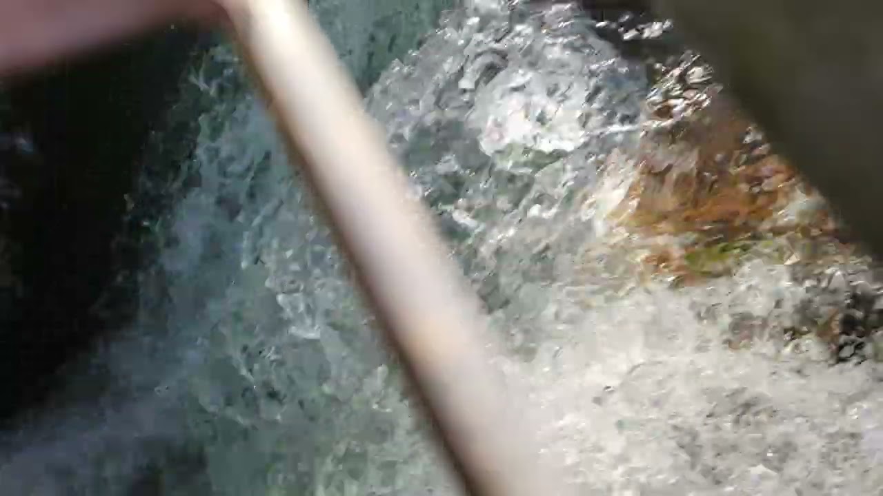 Water and slow moo 