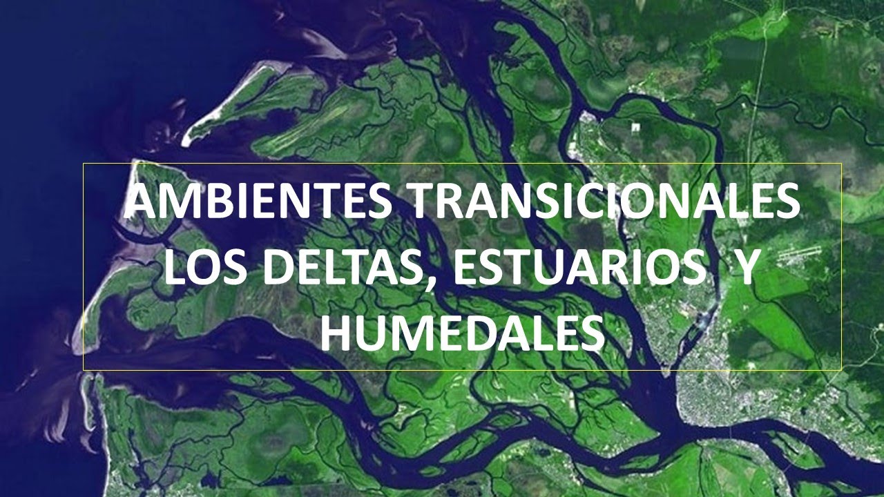 Ambientes transicionales 