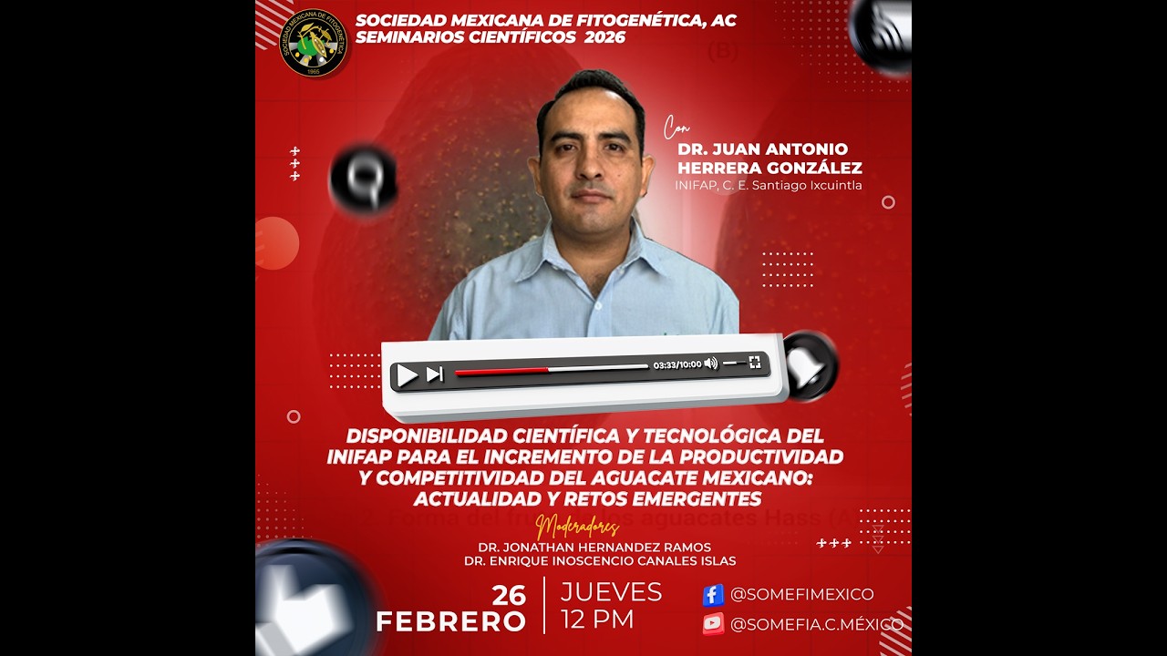 Ciclo de seminarios virtuales SOMEFI 2026