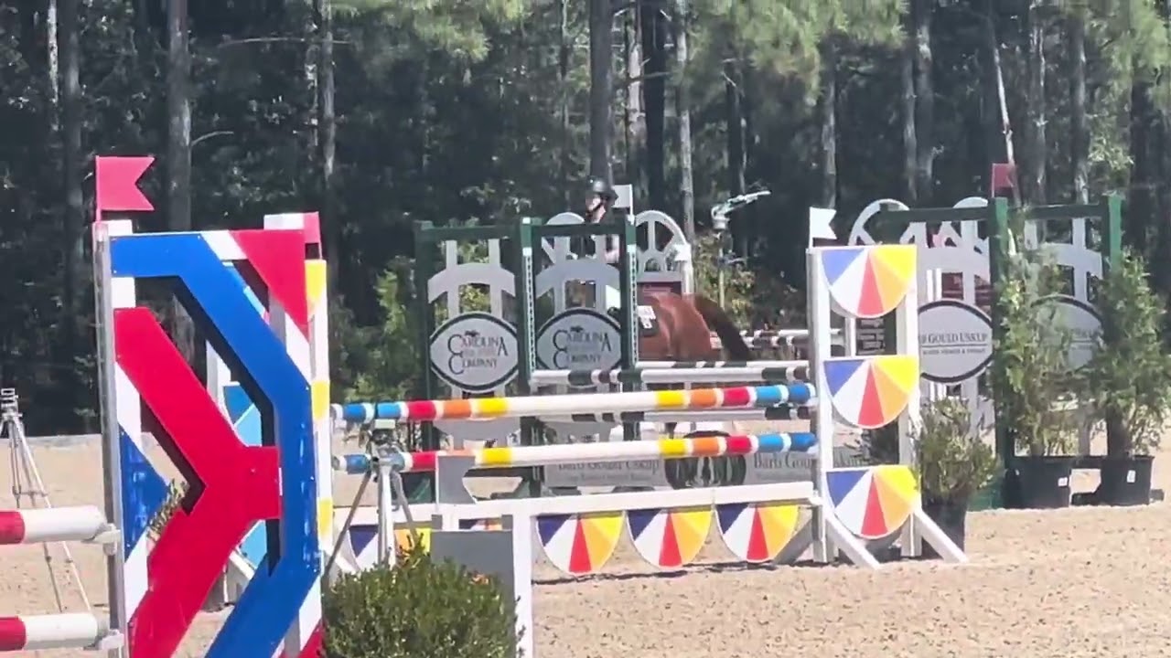 Baral Singular - 1m Amateur Jumpers