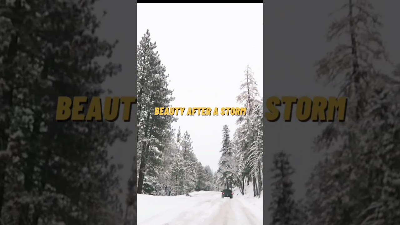 After the storm 😍 #getawayadventure #getaway #adventure #winter #winterwonderland #explore