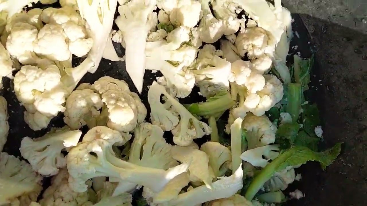 ဒီနေ့အတွက်ဘာဟင်းချတ်ရမလဲခေါင်းစားနေရင်၀င်သာကြည့်လိုက်ပါ!!!