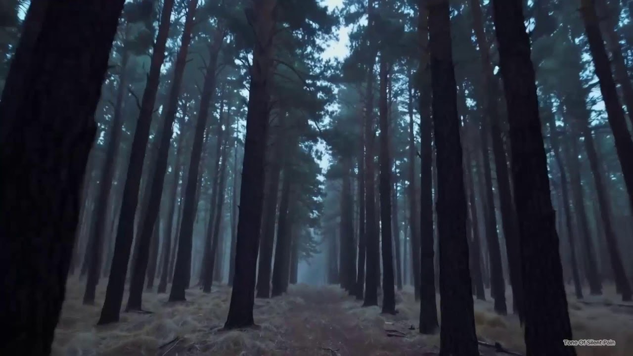 Piano Instrumental , calm, melancholic sleep ASMR music - Relax / Sad / #classicalmusic