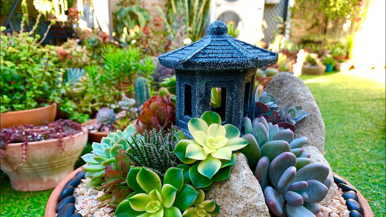 Succulent Arrangement in Terracotta Bowl