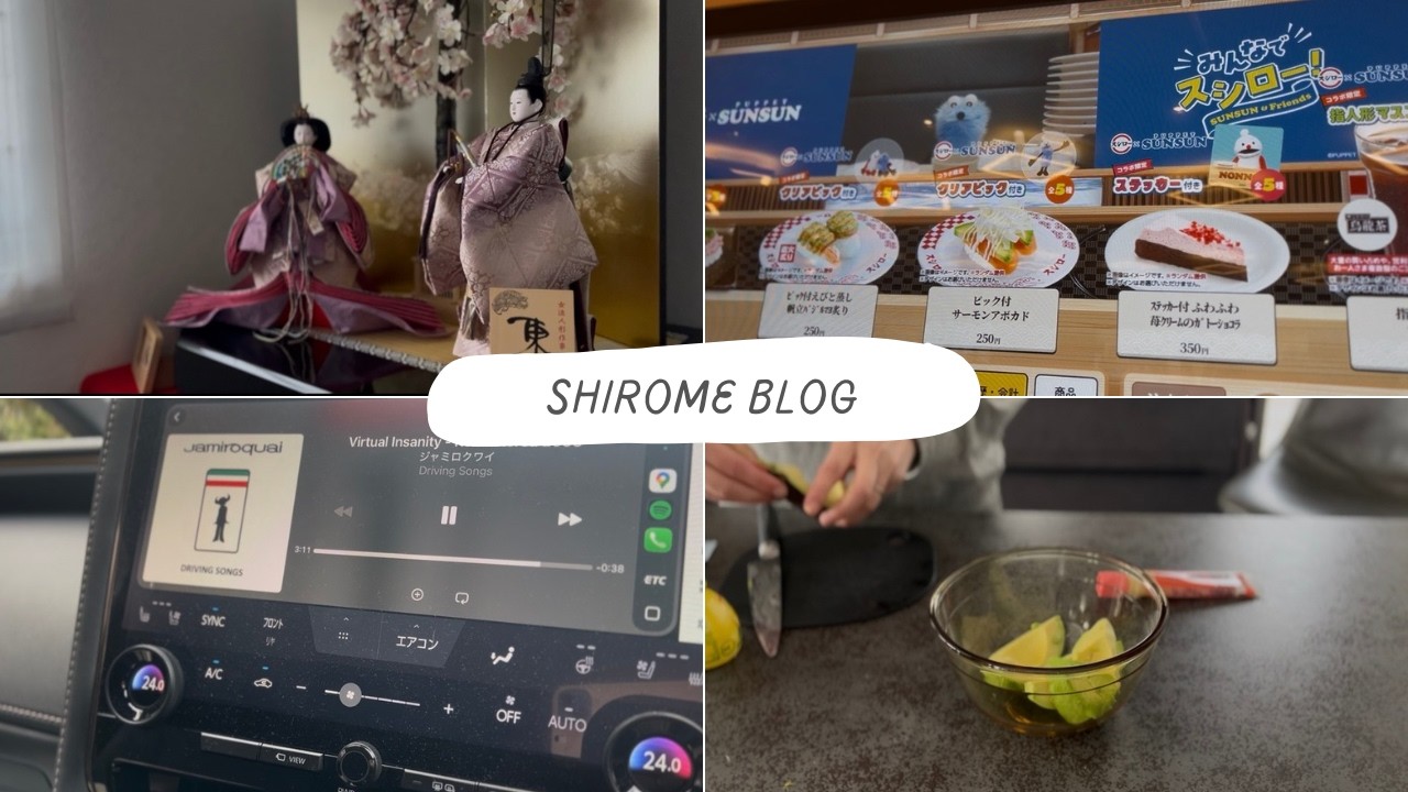 ＃8 レモン木の植え替え/ネパール料理テイクアウト/お雛様/ADHDのこと/スシローコラボパペットスンスン