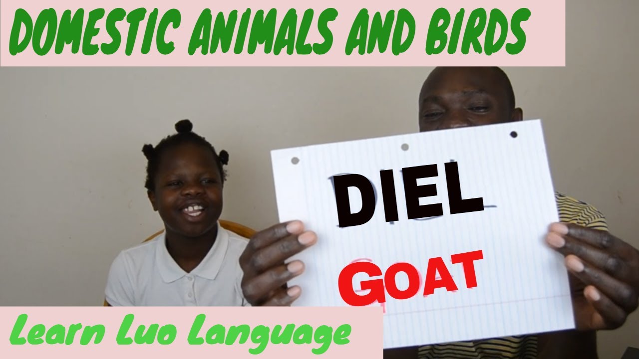 EP49 Luo names of domesticated birds and animals