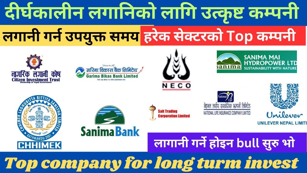 TOP company for long turm invest/ दीर्घकालीन लगानीको लागि उत्कृष्ट कम्पनी/ लगानि गर्ने कि?/ shree