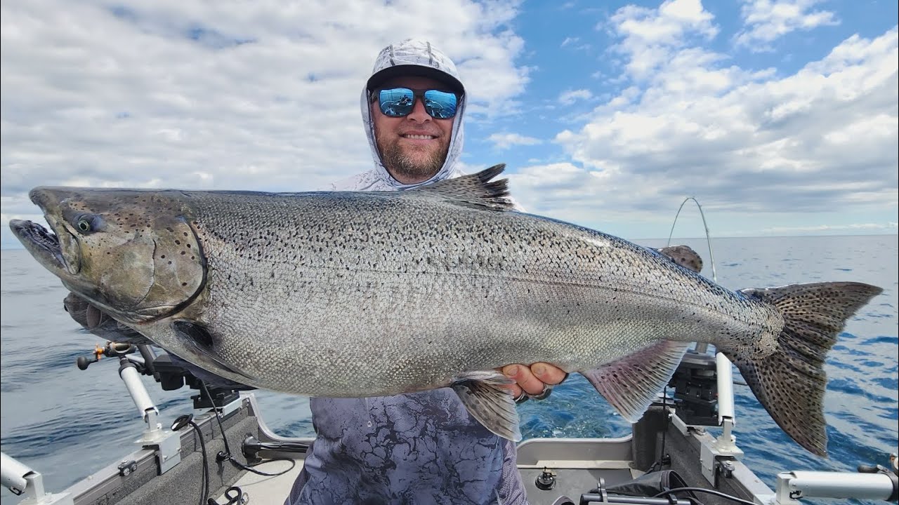 BLUFFERS King Salmon REPORT!