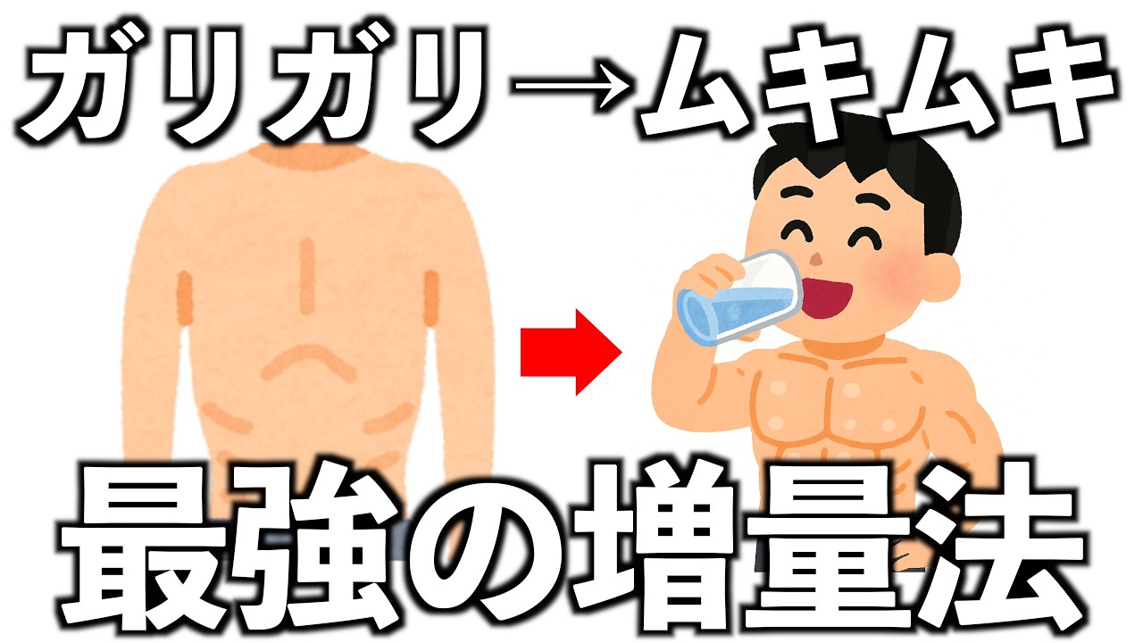 【永久保存版】ガリガリからムキムキになるための、世界一わかりやすい増量期の全て｜増量戦略・NG行動・悩み解決まとめ