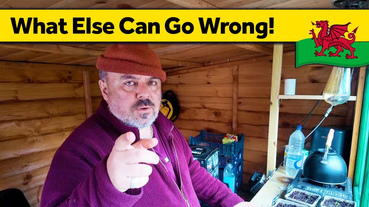379. Now the Internet is Broken & Modern Appliance - Slow Living Alone in Wales