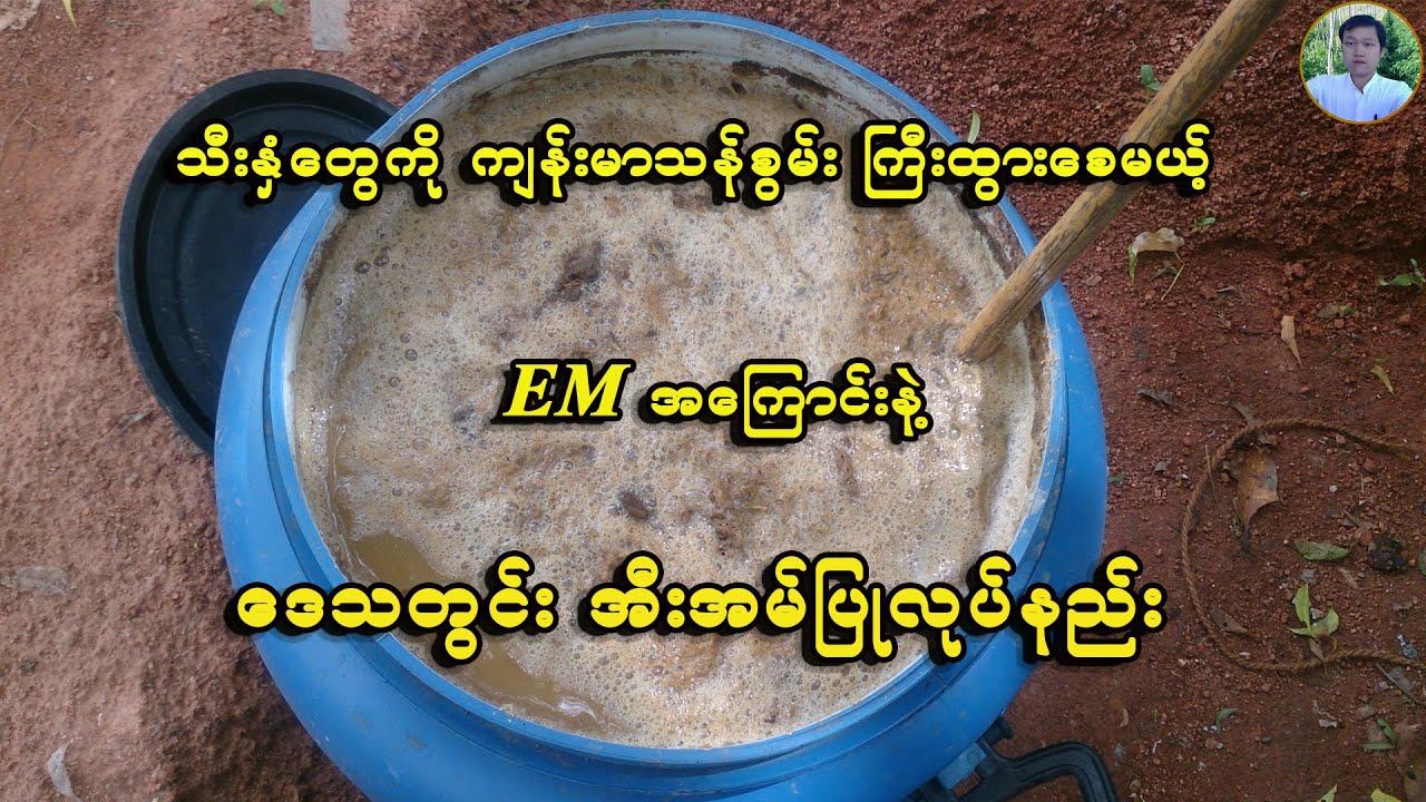 အိမ်မှာ ဒေသတွင်း အစွမ်းထက် EM ပြုလုပ်နည်း - How To Make Em At Home