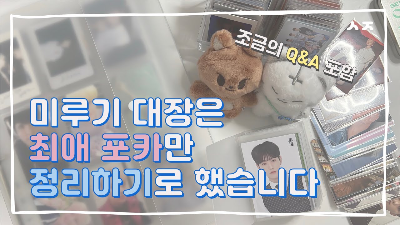 [캐럿 브이로그] 다시 돌아온 포카 정리와 TMI 넘치는 Q&A | 새로운 바인더 소개 • 호시 포카 정리 | 세븐틴 | 덕질 브이로그 💎