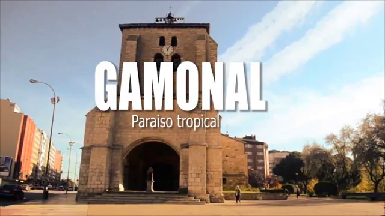 Gamonal para&iacute;so tropical 😂