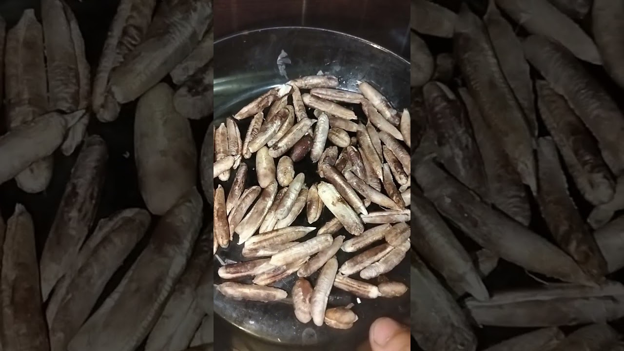 ١٠ فبراير ٢٠٢٦