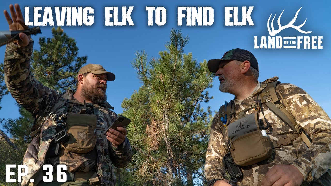 Dirk The Bugler Durham Is Back! (Bulls On The Move) | LOF EP. 36