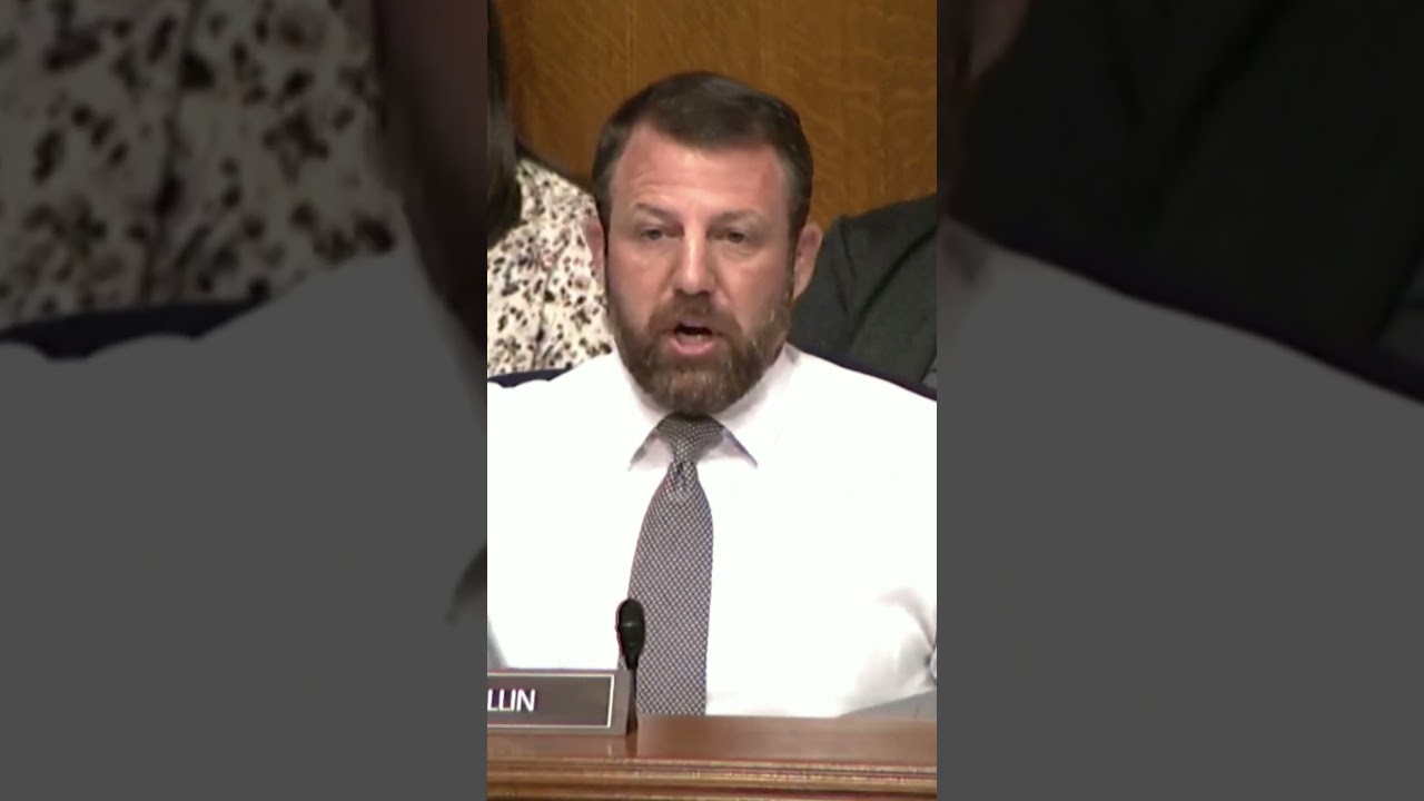 Senator challenges witness to fight during hearing