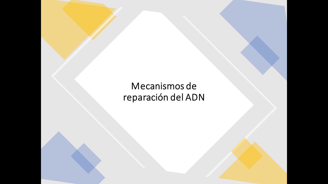 Mecanismos de reparación del ADN