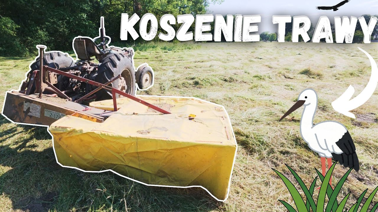 #26- Koszenie trawy C-360 z rotacyjną 🚜 | Sianokosy 2025 na polskiej wsi!