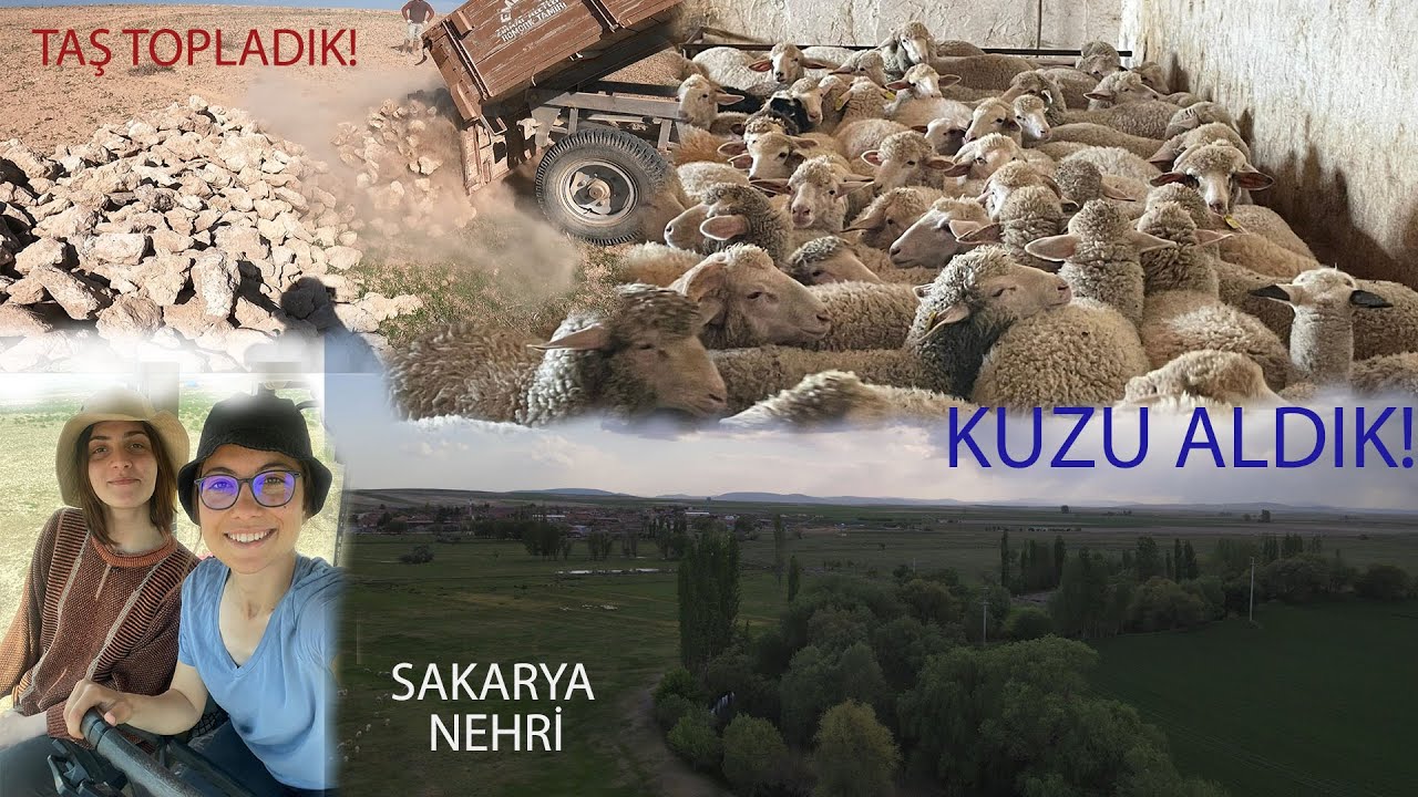 KUZU ALDIK~KONYADAN ÇAPACILAR GELDİ~OKULDAN ARKADAŞIM KÖYE GELDİ~SAKARYA NEHRİ~TAŞ TOPLADIK~EĞLENCE