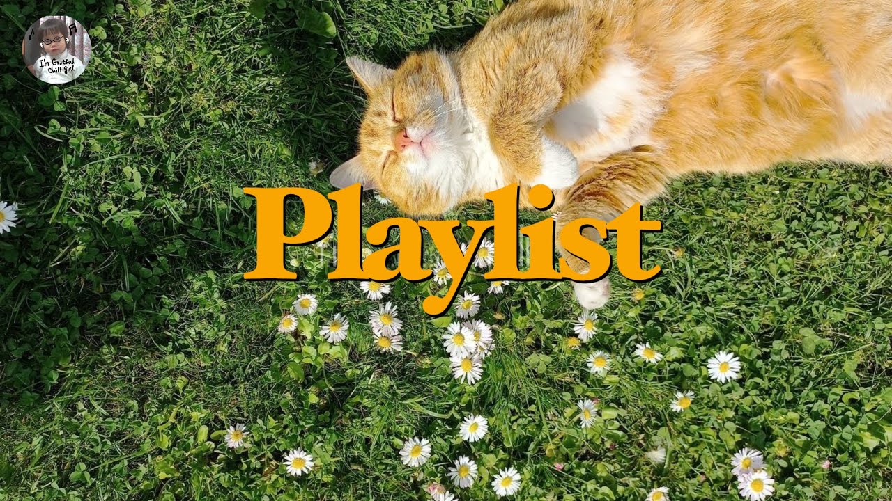 여섯 시에 내 고양이랑 듣는 재즈 | Jazz Playlist | 2시간 반복