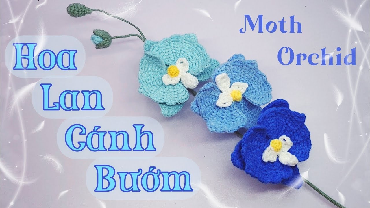 #21 Crochet Moth Orchid | Móc Hoa Lan Cánh Bướm | @Lennaflower