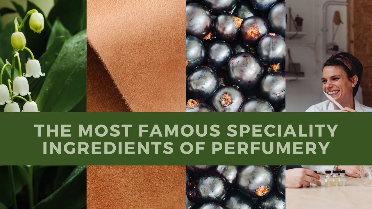 The most famous compositions and speciality ingredients of perfumery