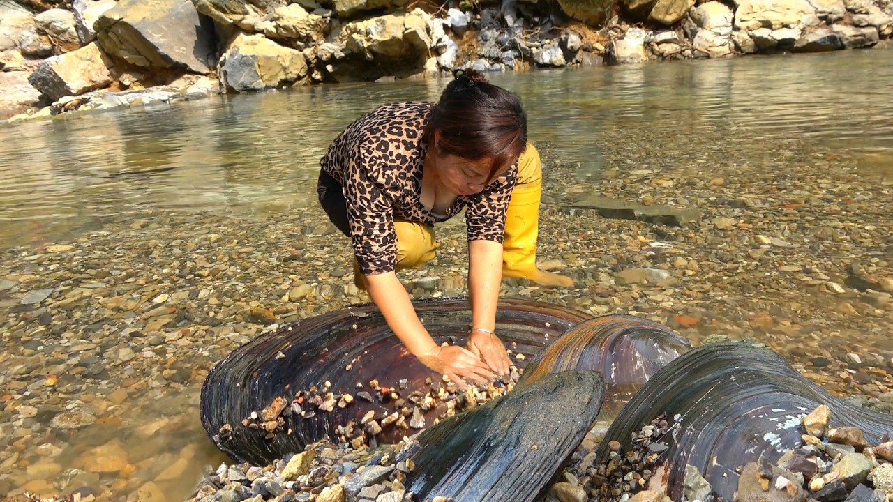 The girl dug out a set of clams and opened them all to see high-quality pearls